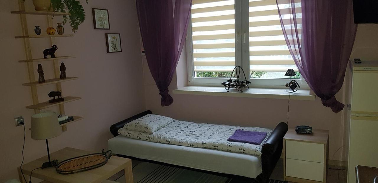 Pensjonat Europa Brzeziny المظهر الخارجي الصورة